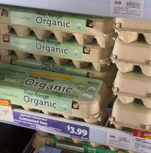 Organic Free-range Egg at good price