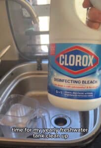 Bleach