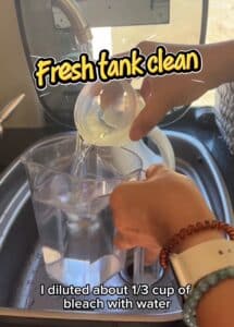 Dilute 1/3 cup of bleach water