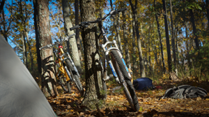 Mountain Biking Trips
