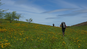 Hiking or Backpacking Trips