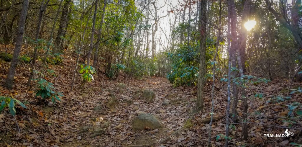 Trace Ridge Trail