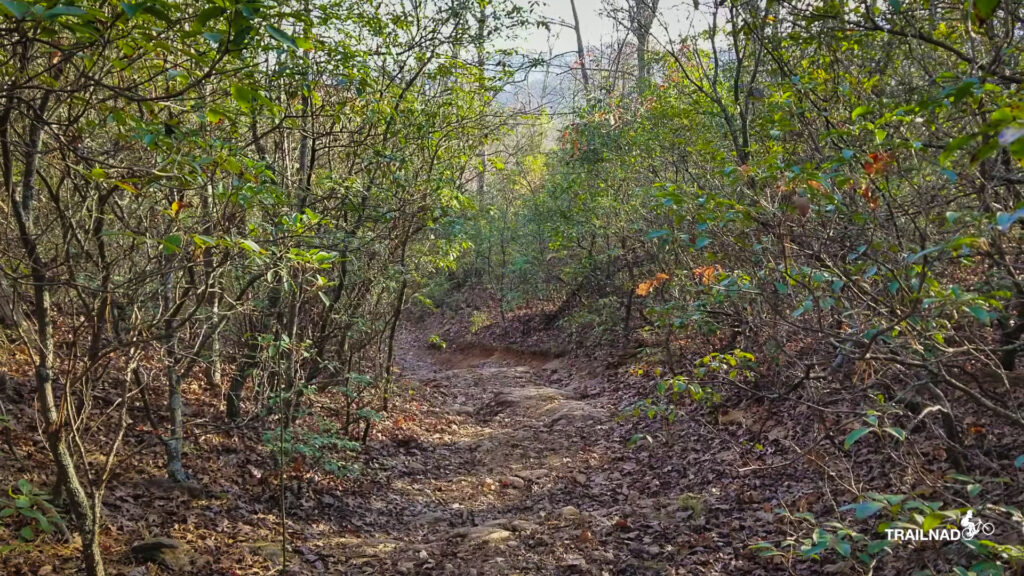 Trace Ridge Trail