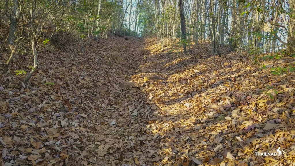 Trace Ridge Trail