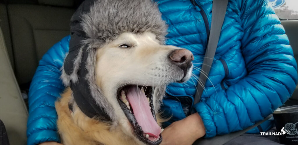 Pilot Tsali yawning