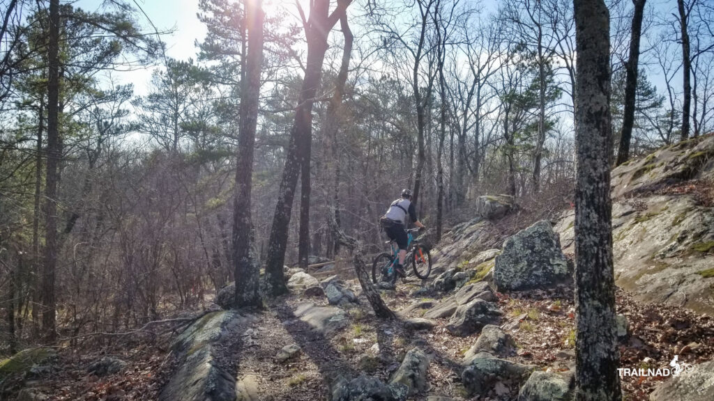 Trent on Boulder Ridge Trail