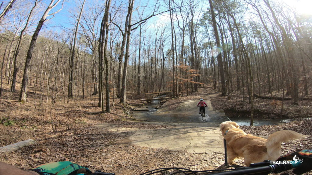 Creek Crossing on Red Trail