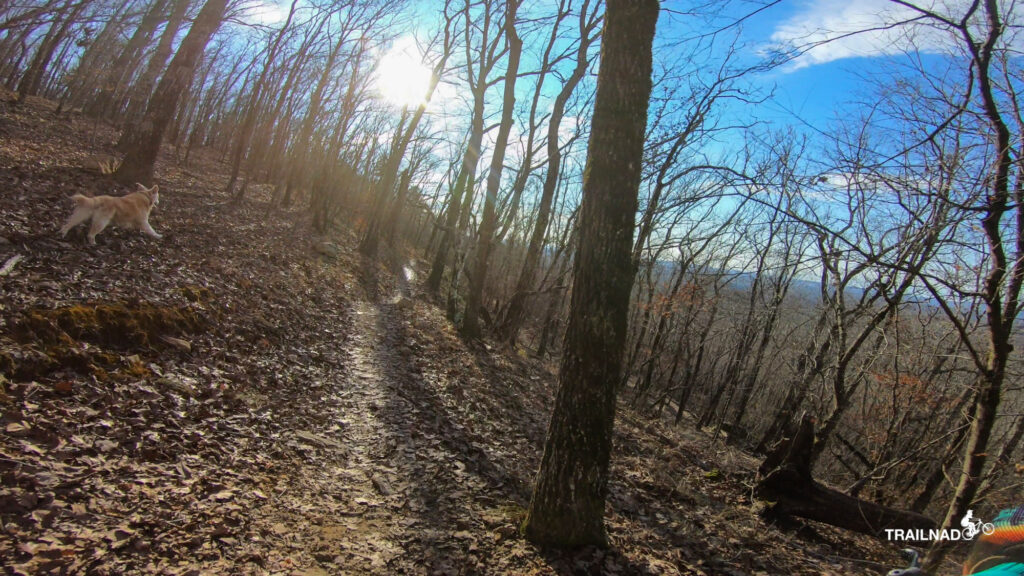 Tsali on Thunder Trail