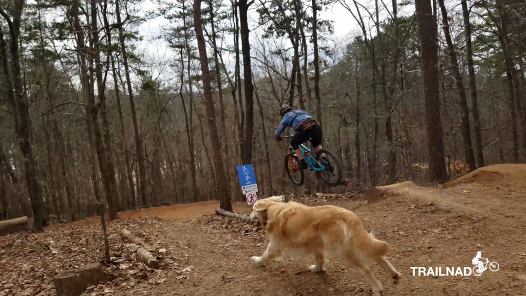 Dwelling Flow Trail