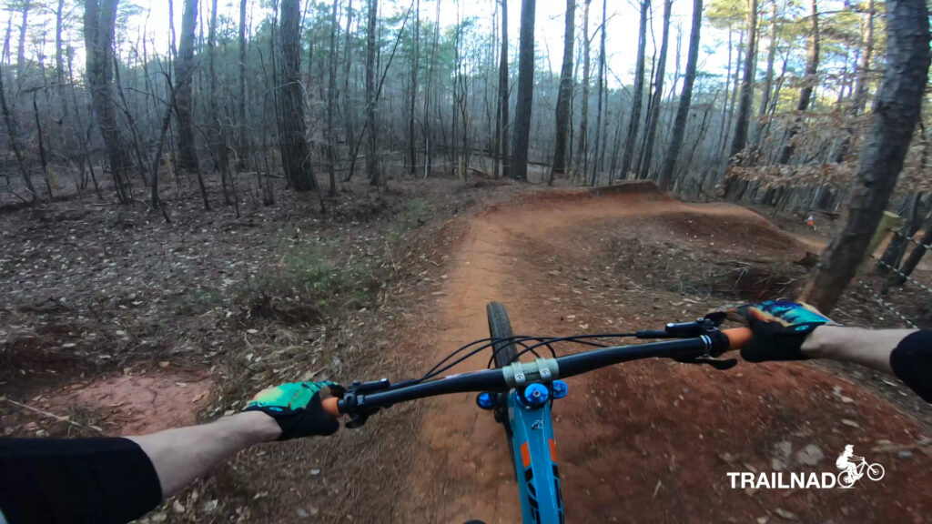 The Holler Berms