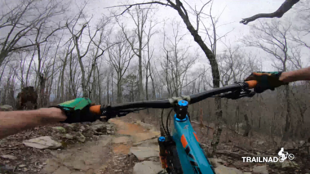 Bomb Dog Trail