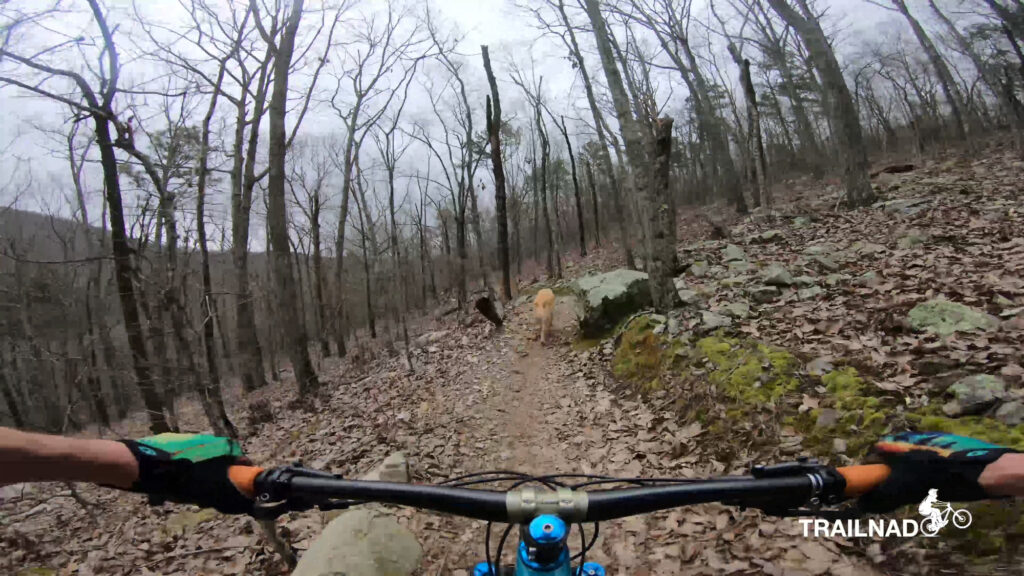 Cassidy Trail