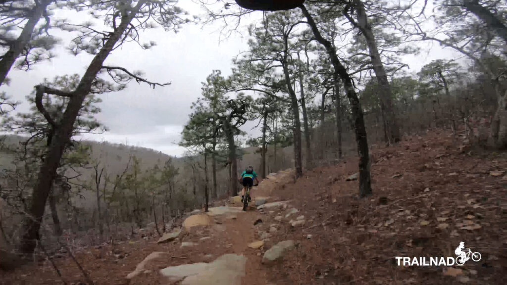 Chilhowee Trail