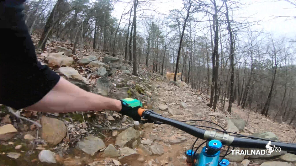 Talladega Trail