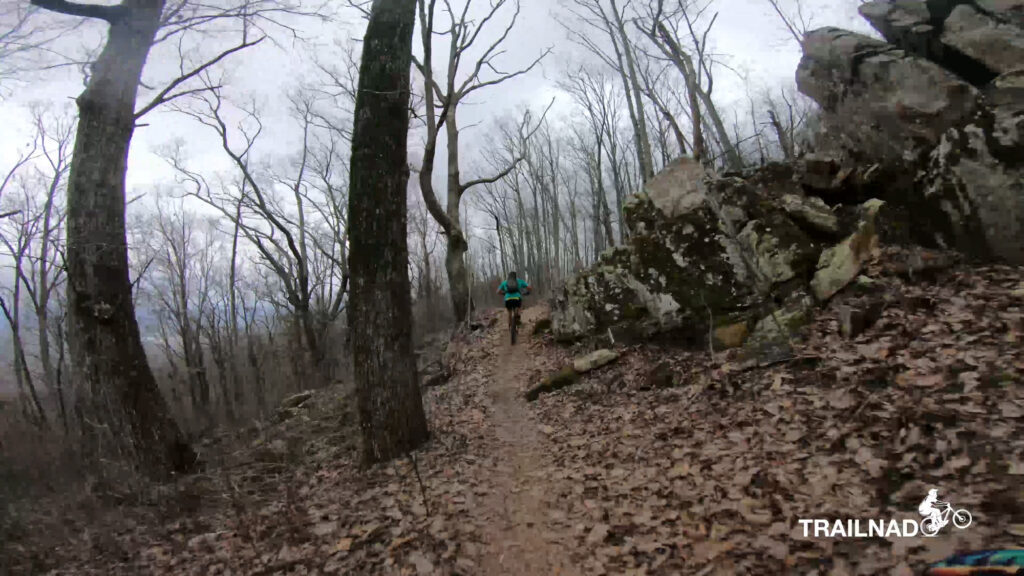 Telladega Trail