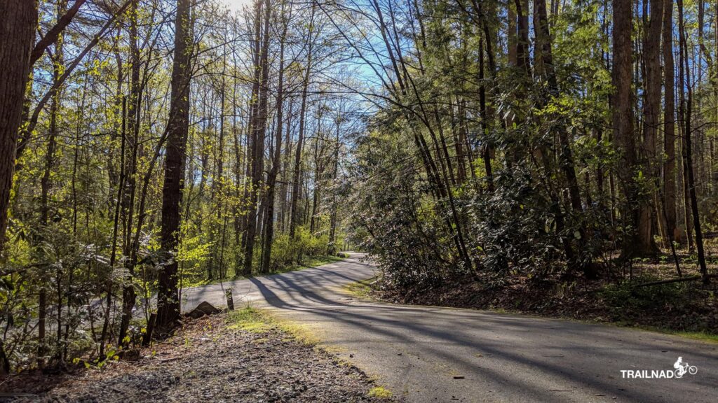 Davidson River Campground
