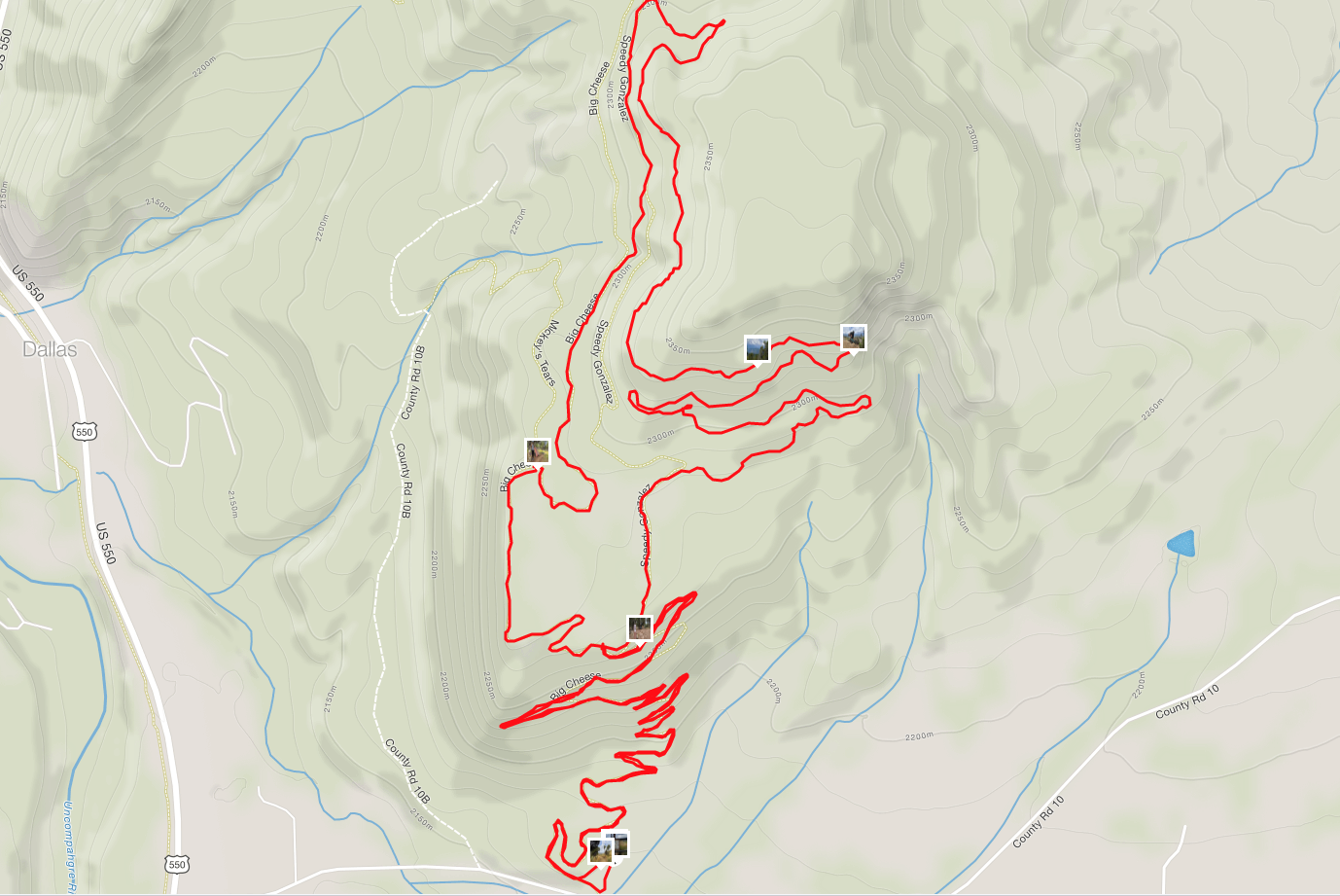 Mountain Biking at Ridgway Area Trails in Ridgway, Colorado Trailnado