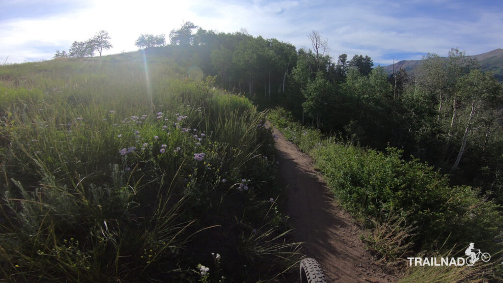 Jurassic Trail