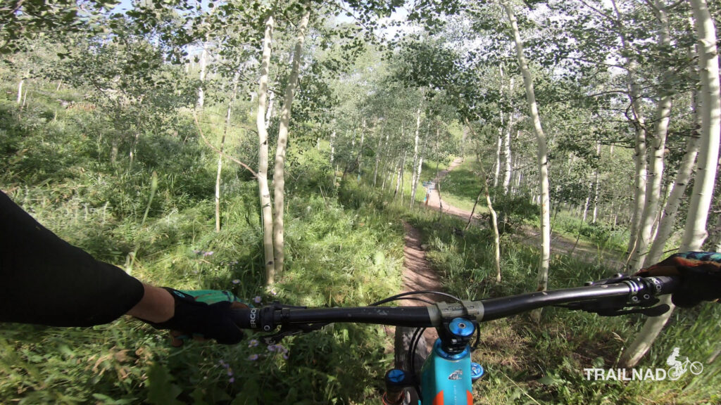 Jurassic Trail