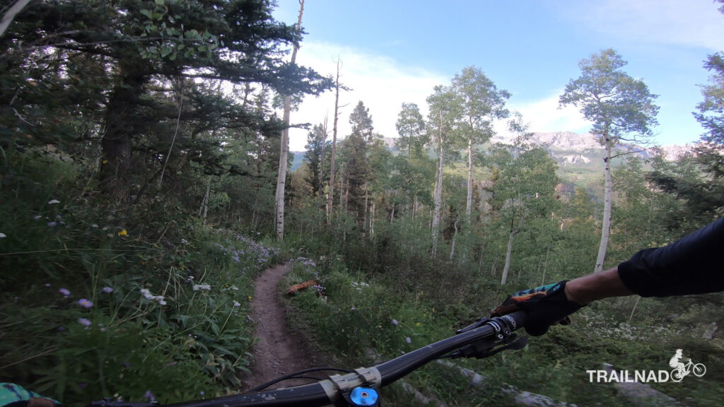 Meadows Trail