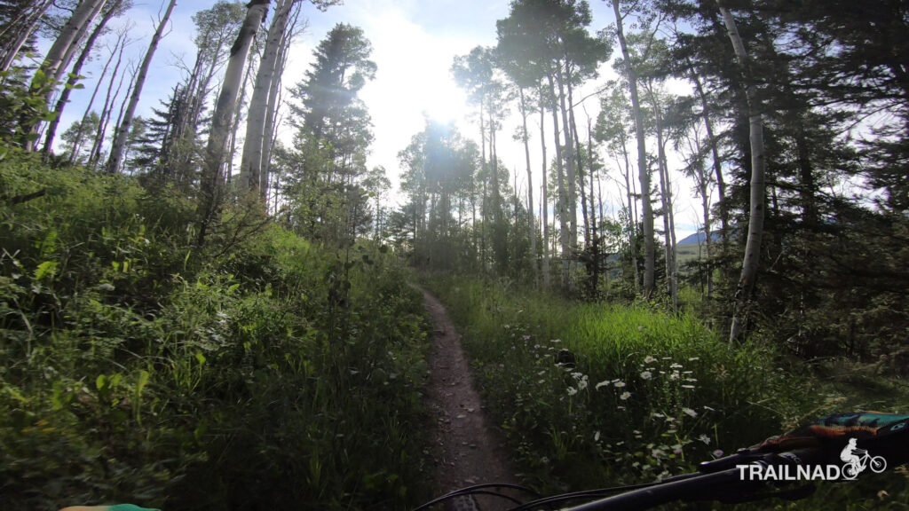 Meadows Trail