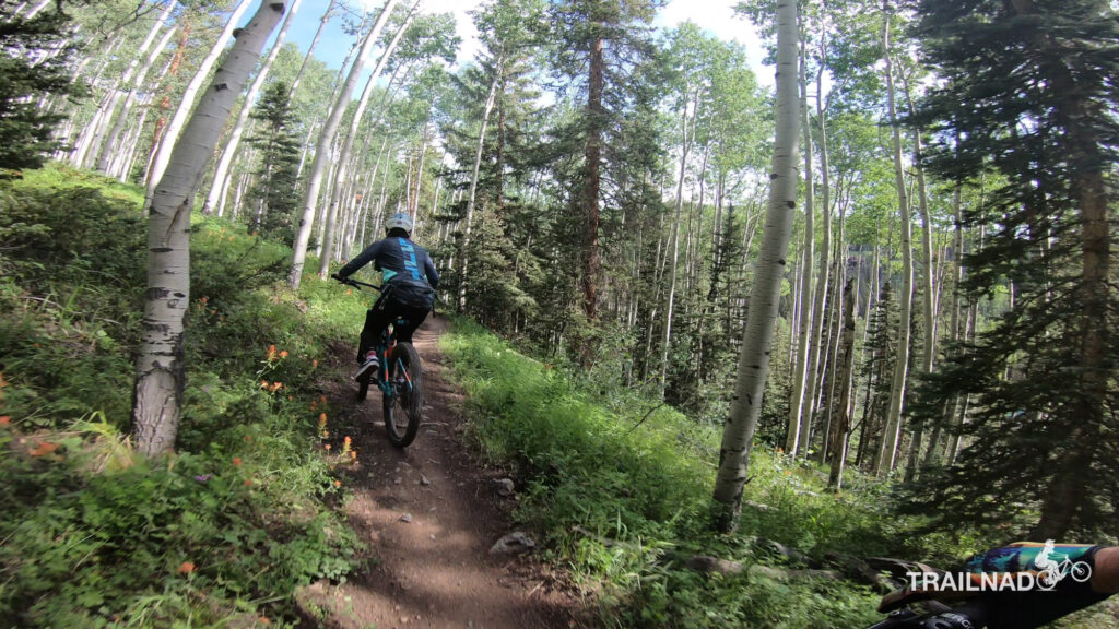 Village Trail