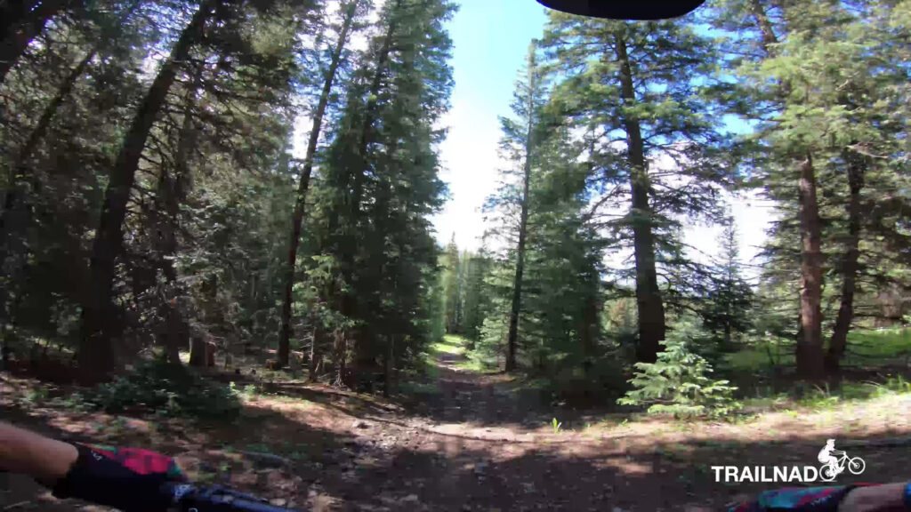 Magic Meadows Trail