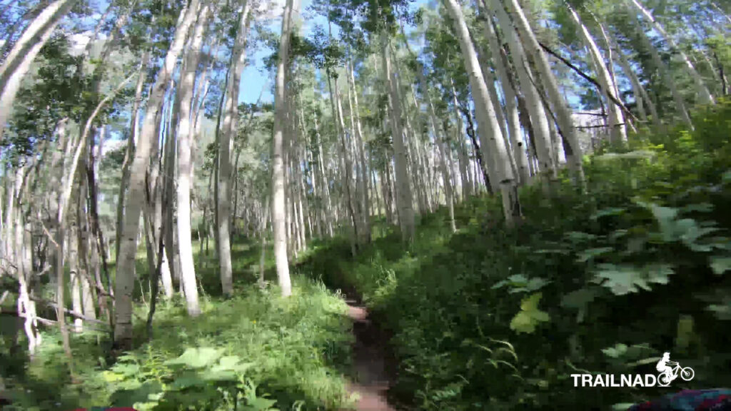 Sunshine Trail