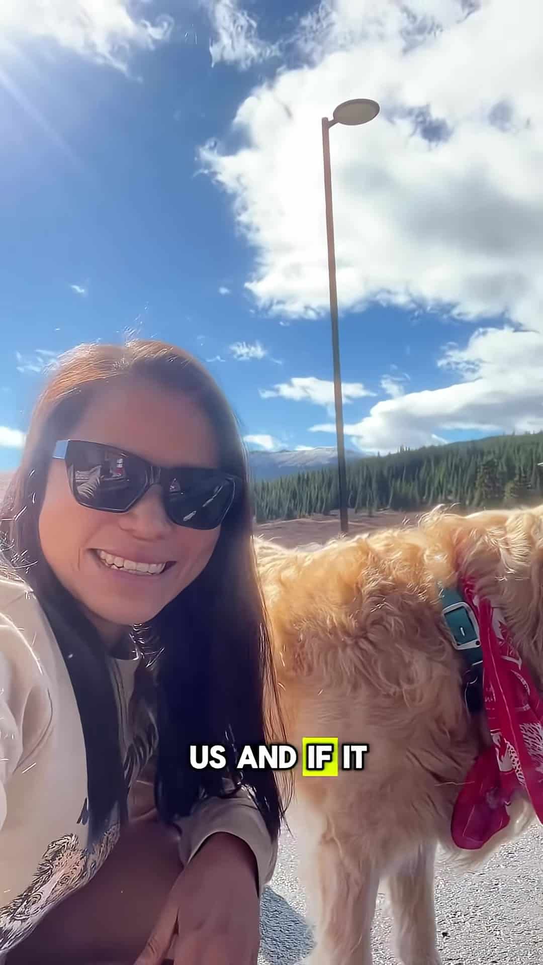 Woman and senior golden retriever in the sun beside a van